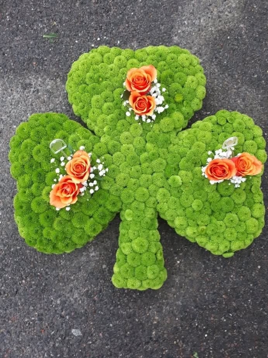 Shamrock Tribute.