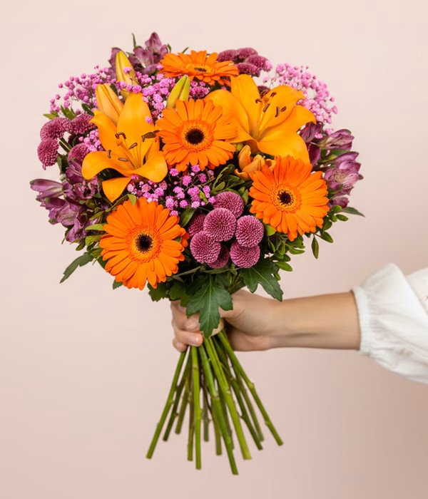Colour Crush