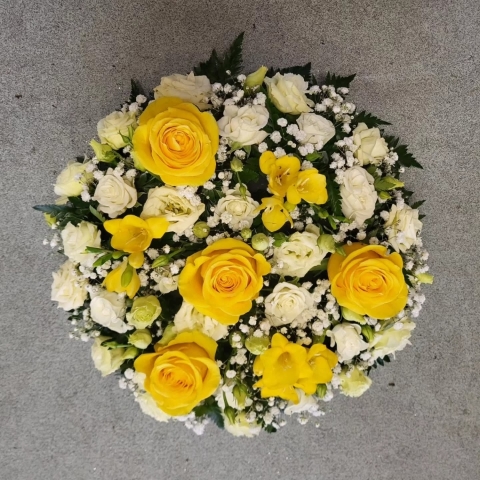 Yellow Posy.