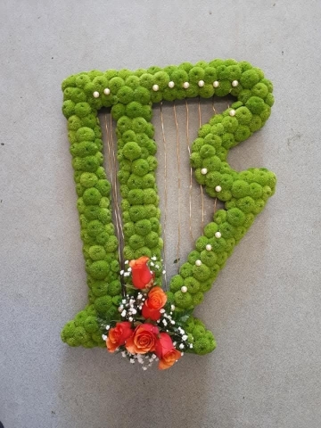 Irish Harp Tribute.